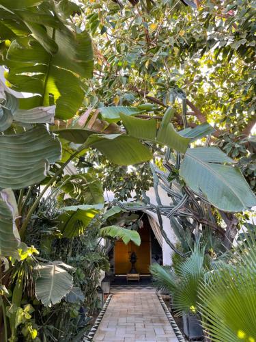 Dar El Gaïed - Guest House