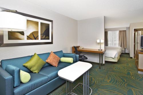 Springhill Suites by Marriott Chicago Elmhurst Oakbrook Area