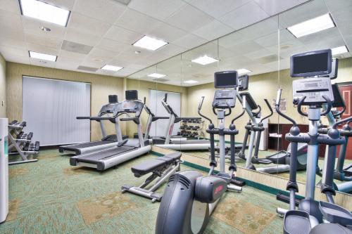 Springhill Suites by Marriott Chicago Elmhurst Oakbrook Area