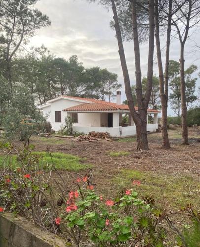  Casa indipendente in campagna in Calasetta