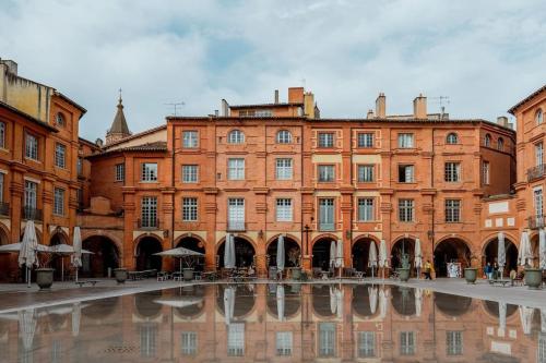 Acacia Magnifique T2 Renove. - Montauban