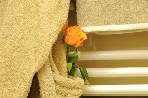 Hotel I Due Cigni - image 2