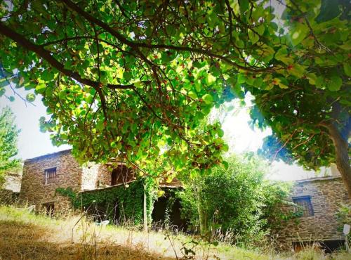 Cortijo rural El Albercón - Capileira - Alpujarra Rural - Chalet - Capileira