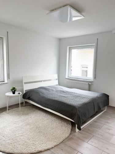 Neu sanierte Einzimmerwohnung