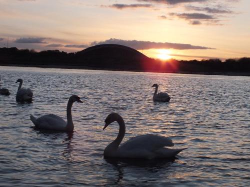 Vistas, Harbourside Hotel in Irvine