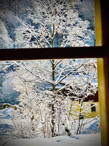 Chalet Mulet - Luxury & Cosy 3 rooms apartment in 300 years old Chalet, Leukerbad (fotografie 9)
