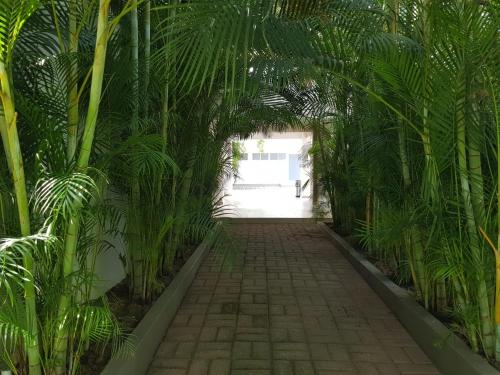 View, Hotel Verdi in San Juan Bautista Tuxtepec