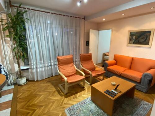 One-Bedroom Apartment image 10