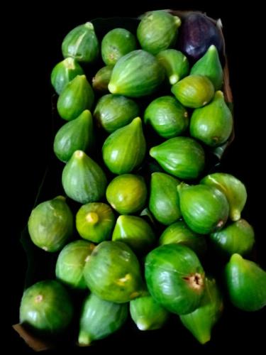 B&B Mareggiata - image 10