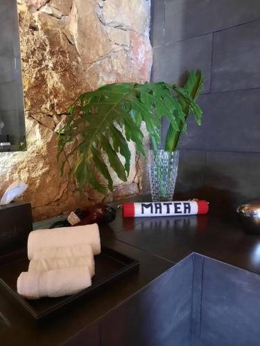 Hotel Boutique Matea Inn in Ixtapan de la Sal