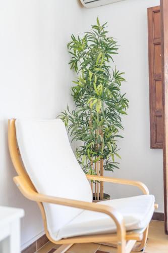 Apartamento La Ciudad, Ronda (photo 11)