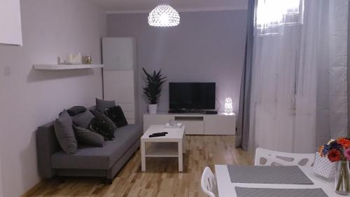 B&B Katowice - 1 Bedroom City Center Apartment - Bed and Breakfast Katowice