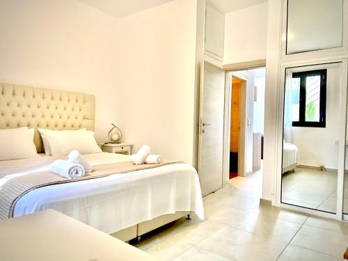 Alkestis Studios, Lixouri (Foto 7)