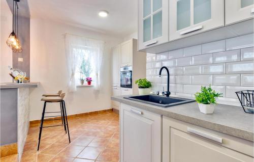Awesome Home In Radovan With Kitchen