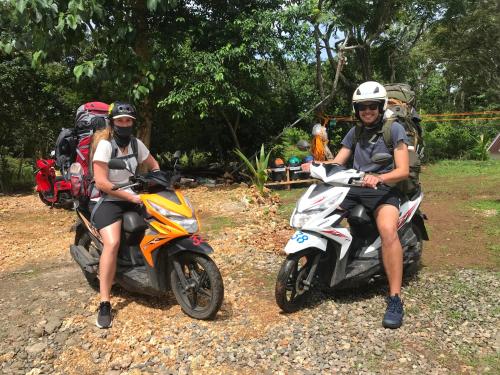 Dwarf Guest House Dwarf Guest House