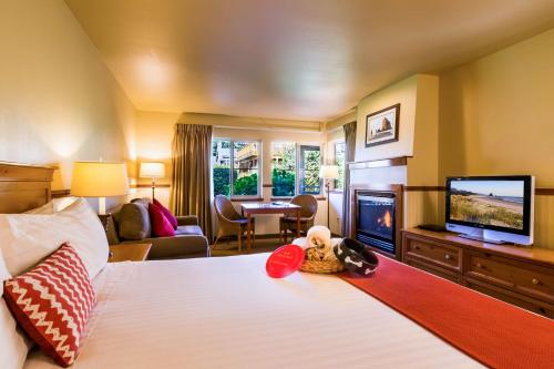 Classic King with Sofa Sleeper, 1st Floor, Pets Allowed