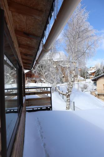 Les Gentianes, Appartement au pied des pistes