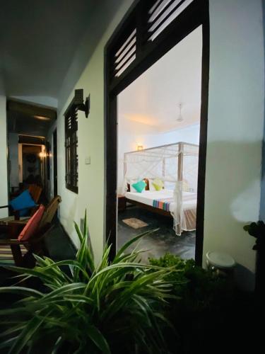 Coconut Grove - Midigama Coconut Grove - Midigama