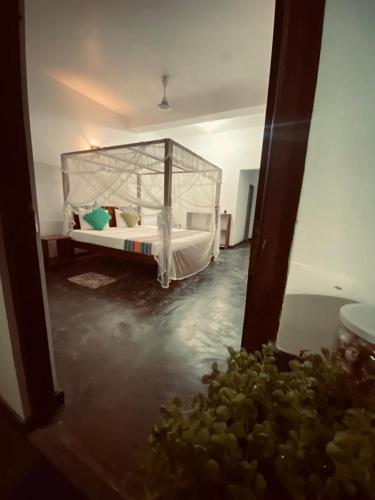 Coconut Grove - Midigama Coconut Grove - Midigama