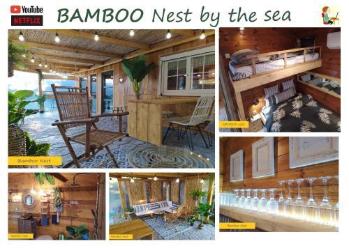 BAMBOO Nest