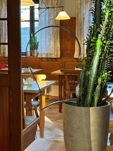 盖斯汀豪斯维根酒店 盖斯汀豪斯维根酒店