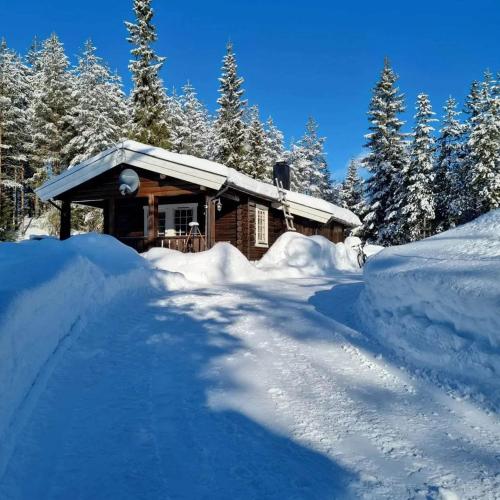 Three-Bedroom Chalet