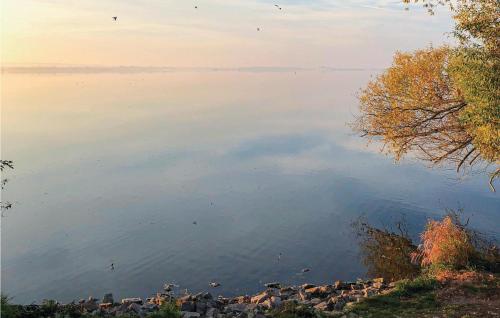 Cozy Home In Lembruch-dmmer See With Sauna