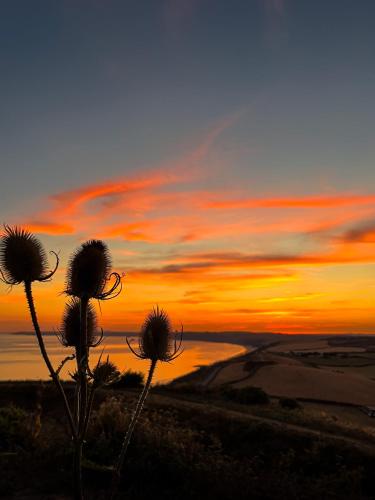 景觀, Whitsand Bay Tamar Bedroom in 聖約翰