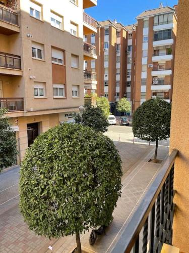 Apartamento Zoco Córdoba