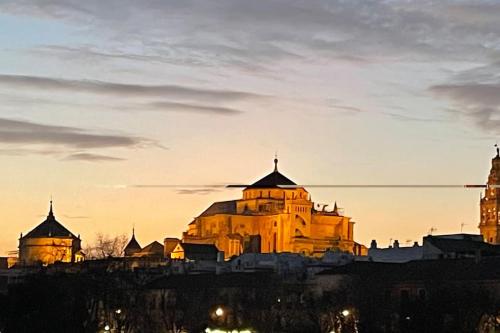 Geysotur Zoco Córdoba, Córdoba (fotografie 8)