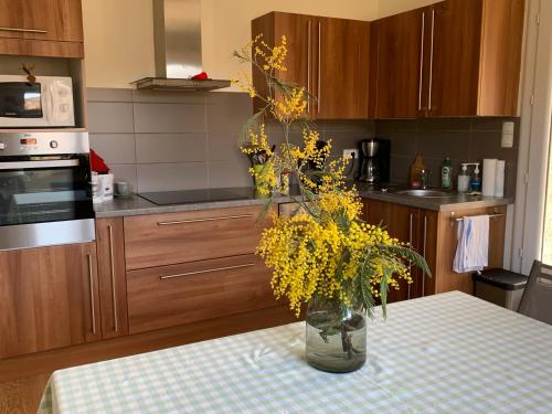 Villa des taillades in Le Collet De Deze