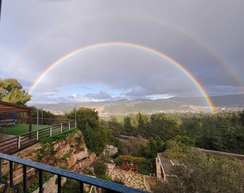 Galilee Stars perfect for family