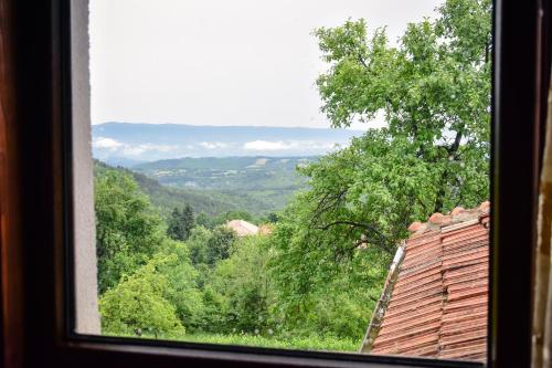 Дядо Петковата Къща, Elena (foto 3)