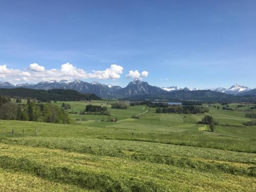 Ferienwohnung Allgäuer Landhaus Stocker in Hopferau-Füssen