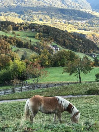 Naturhotel Wieserhof