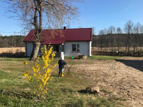 Siedlisko Barycz Kolonia, dom z 2 pokojami z terenem 2 hektary wśród lasów i łąk
