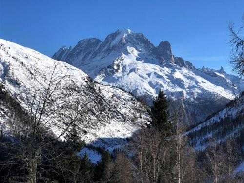 Le calme, le confort, la nature, skis aux pieds, à 15 kilomètres de Chamonix