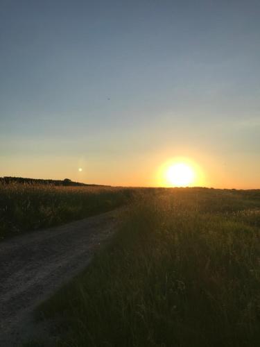 Siedlisko Barycz Kolonia, dom z 2 pokojami z terenem 2 hektary wśród lasów i łąk