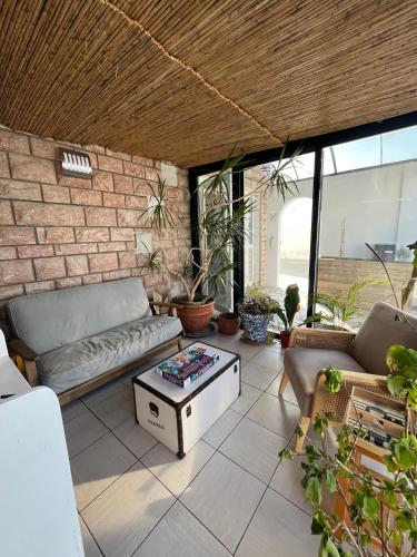 Szórakozási lehetőségek, Hotel Les Sables - Urban Style - by Logis Hotels in Canet-en-Roussillon