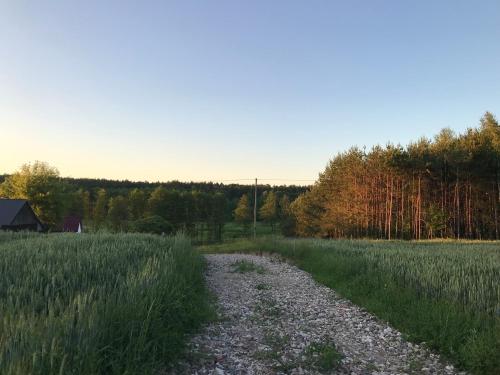 Siedlisko Barycz Kolonia, dom z 2 pokojami z terenem 2 hektary wśród lasów i łąk