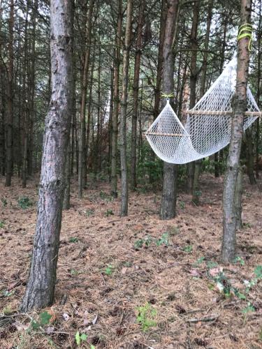 Siedlisko Barycz Kolonia, dom z 2 pokojami z terenem 2 hektary wśród lasów i łąk