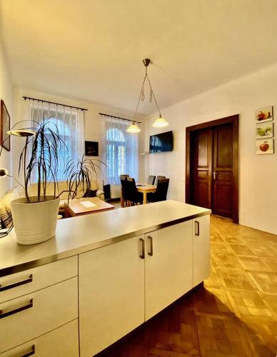 Spacious cozy apartments in centre, Прага (фото 8)