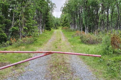 Cozy log cabin at beautiful Nystølsfjellet Cozy log cabin at beautiful Nystølsfjellet