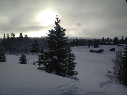 Cozy log cabin at beautiful Nystølsfjellet