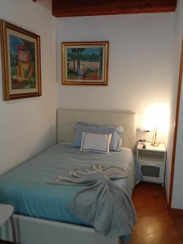  Lo sciuro in Busto Arsizio