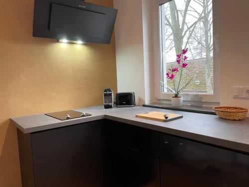 Neubauwohnung im Herzen Panketal in Panketal