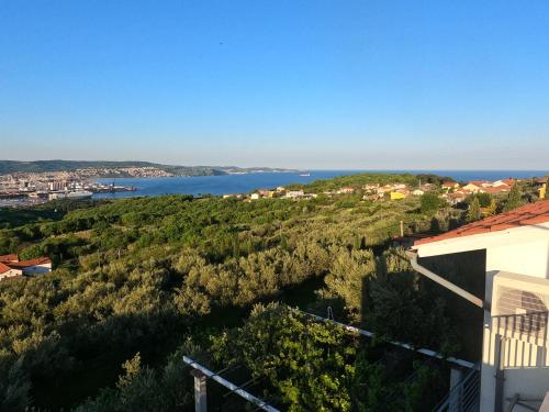 House among olive trees with a sea view 1 in Hrvatini