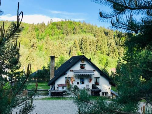 Alpin Ranch, Zărneşti (fotografie 4)
