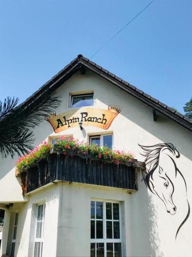 Alpin Ranch, Zărneşti (fotografie 11)