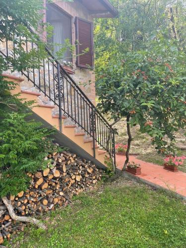  Peace Palace in Casiano